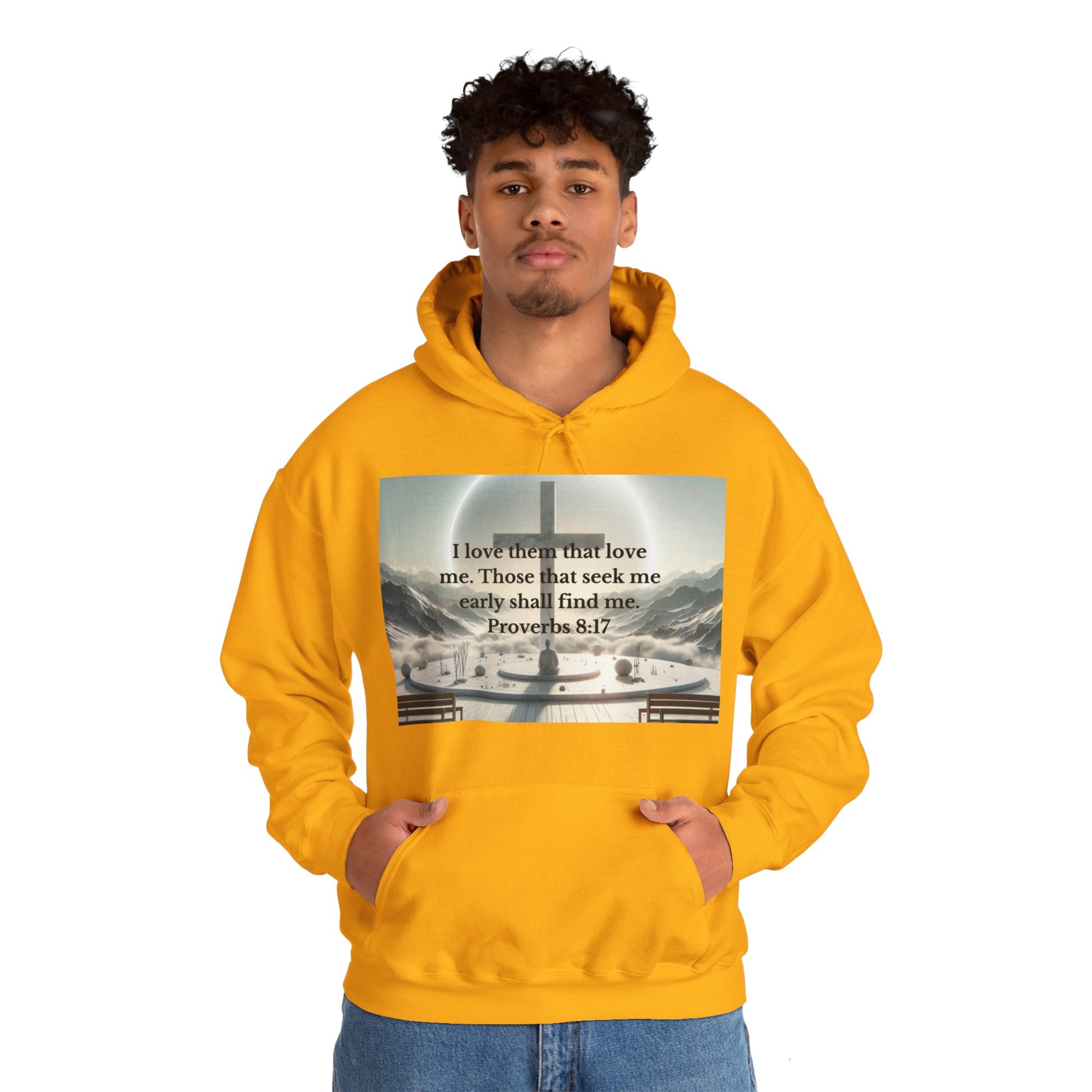 Proverbs 8:17 Hoodie Hoodie Printify