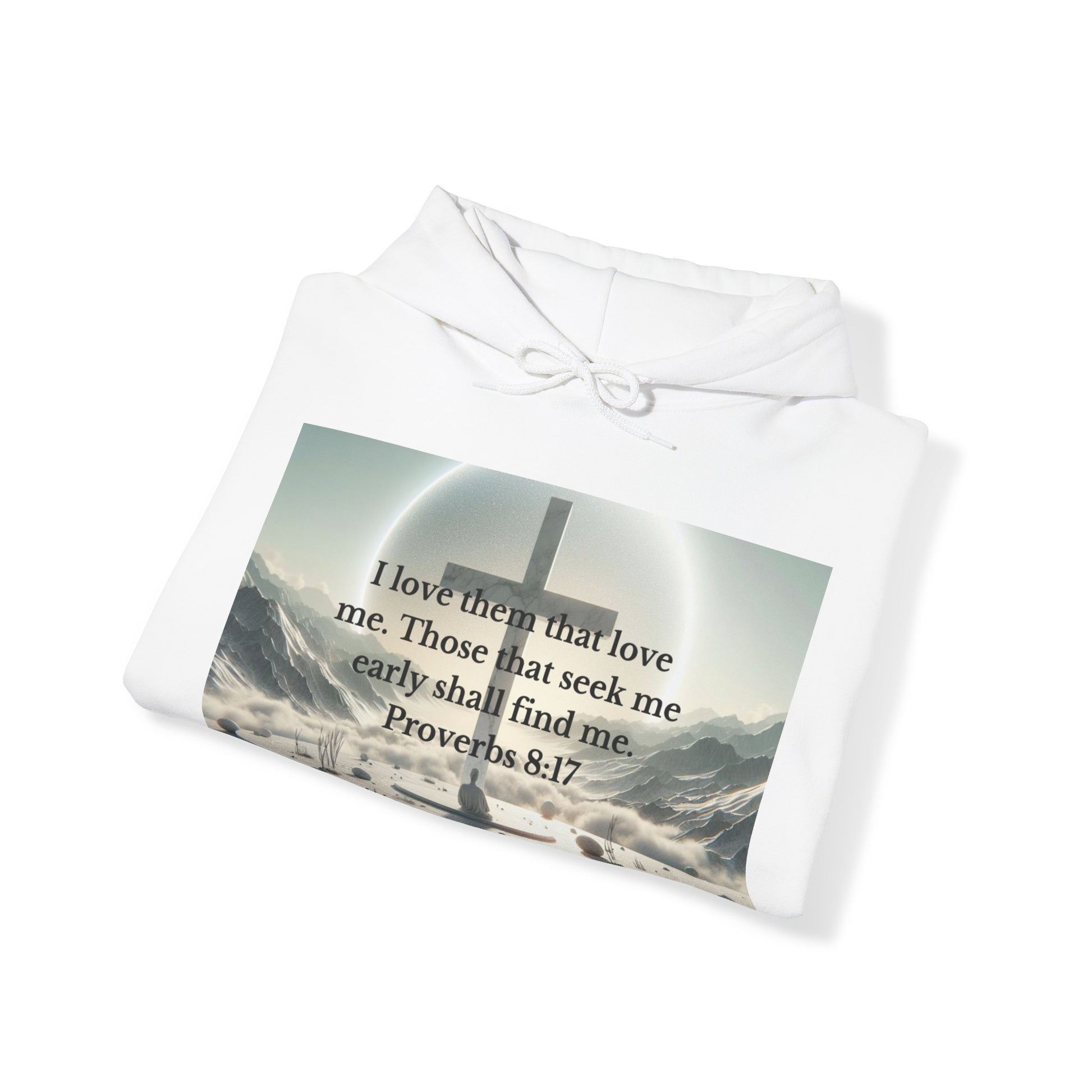 Proverbs 8:17 Hoodie Hoodie Printify