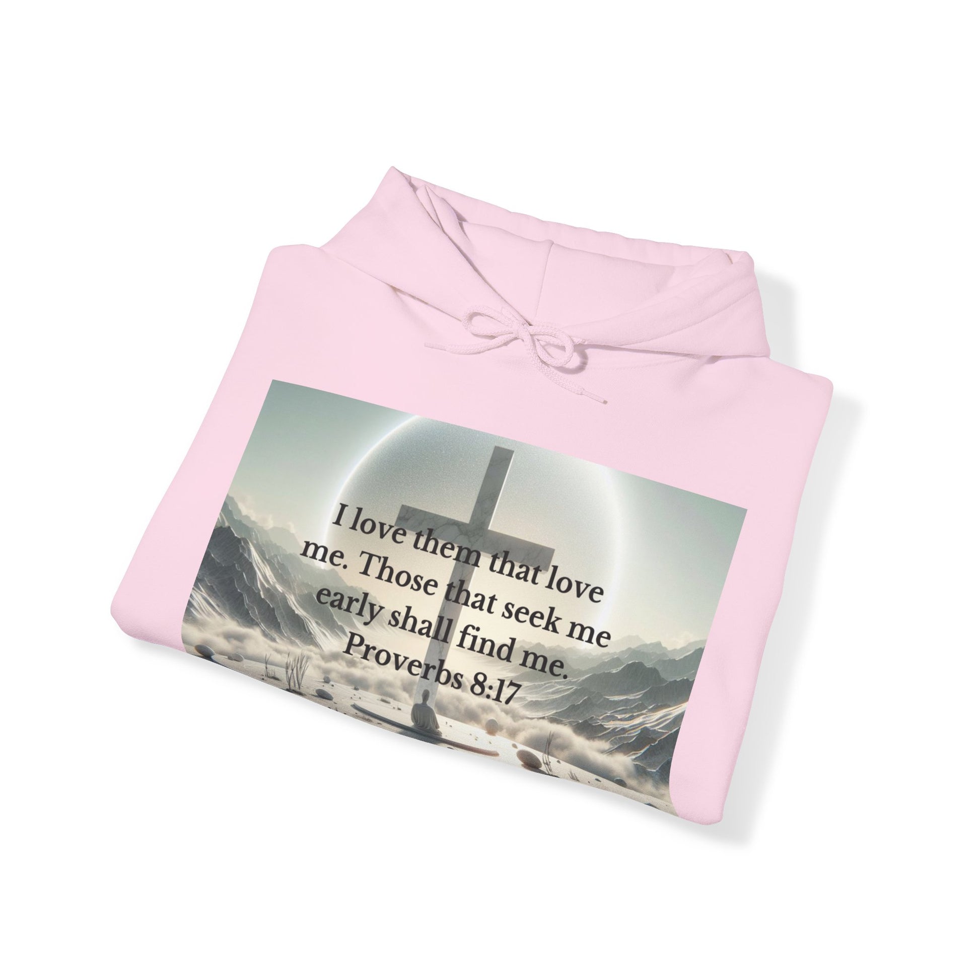 Proverbs 8:17 Hoodie Hoodie Printify
