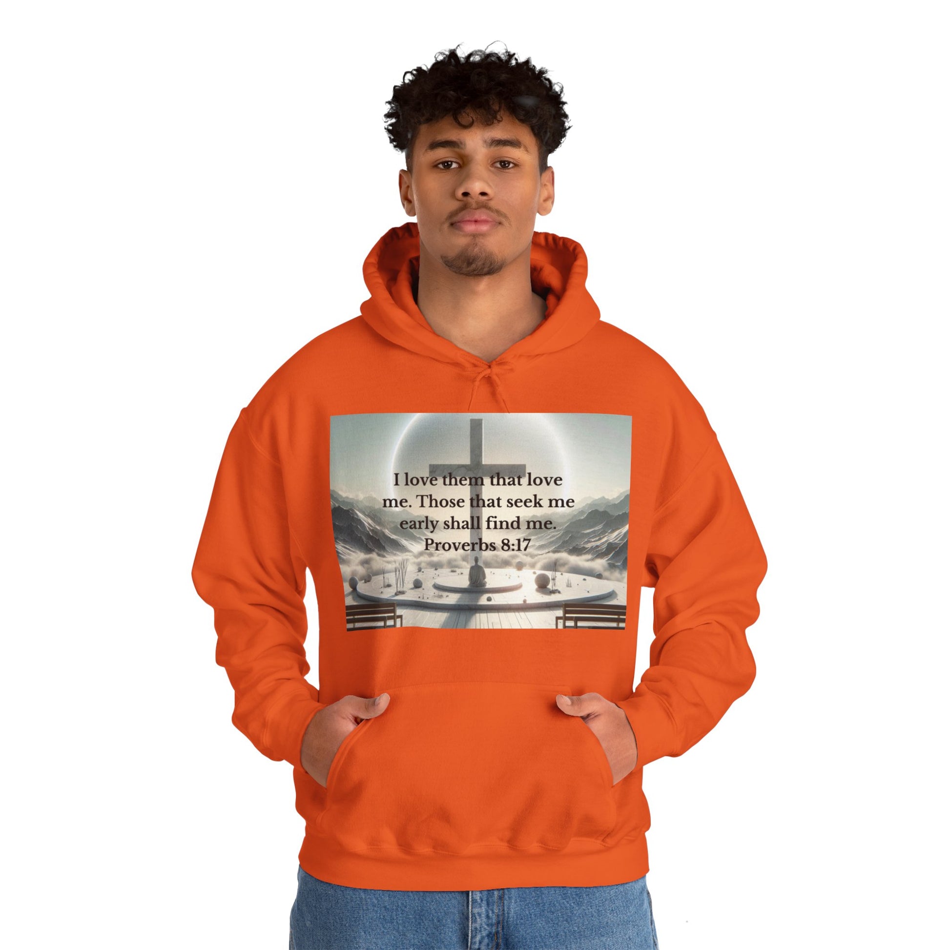 Proverbs 8:17 Hoodie Hoodie Printify
