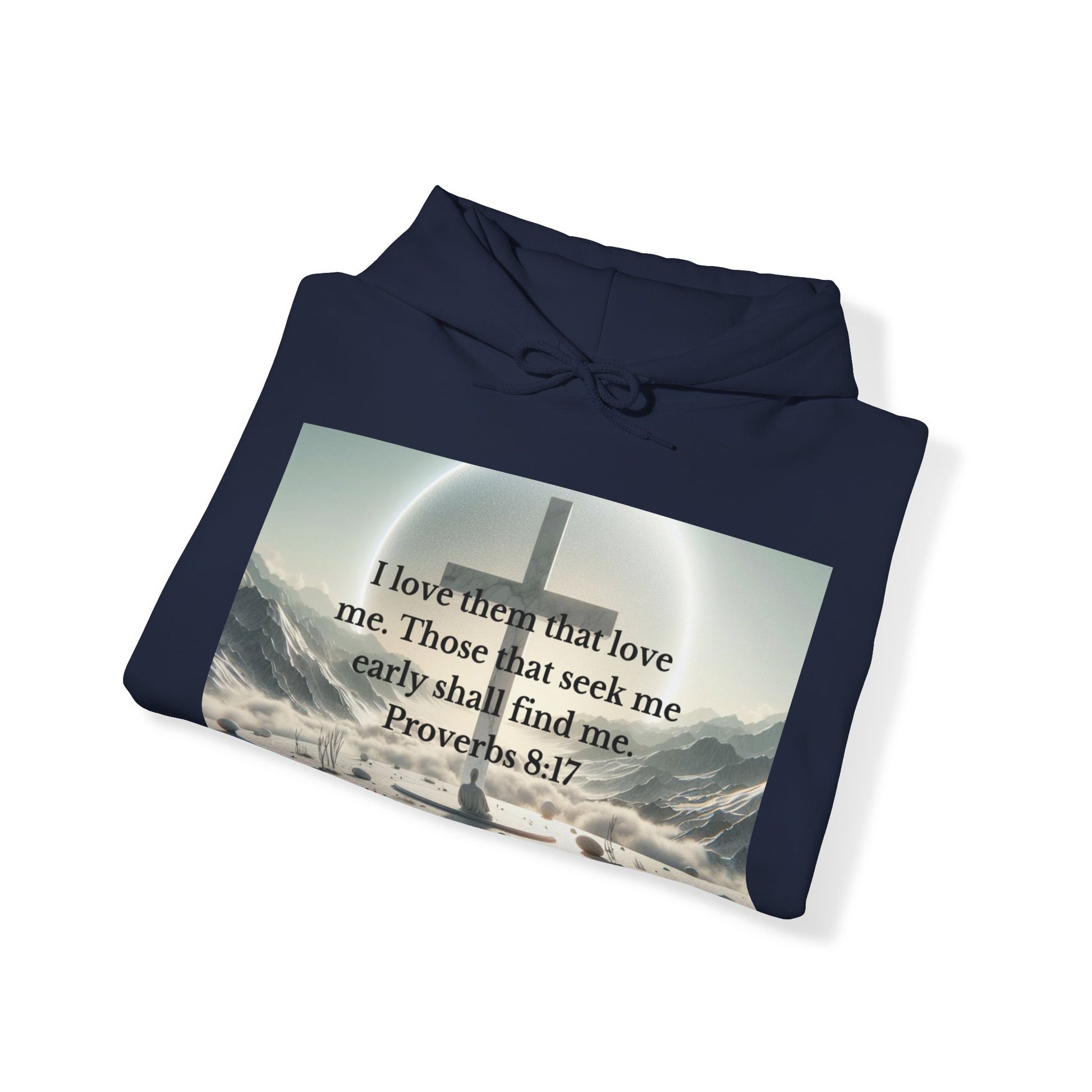 Proverbs 8:17 Hoodie Hoodie Printify