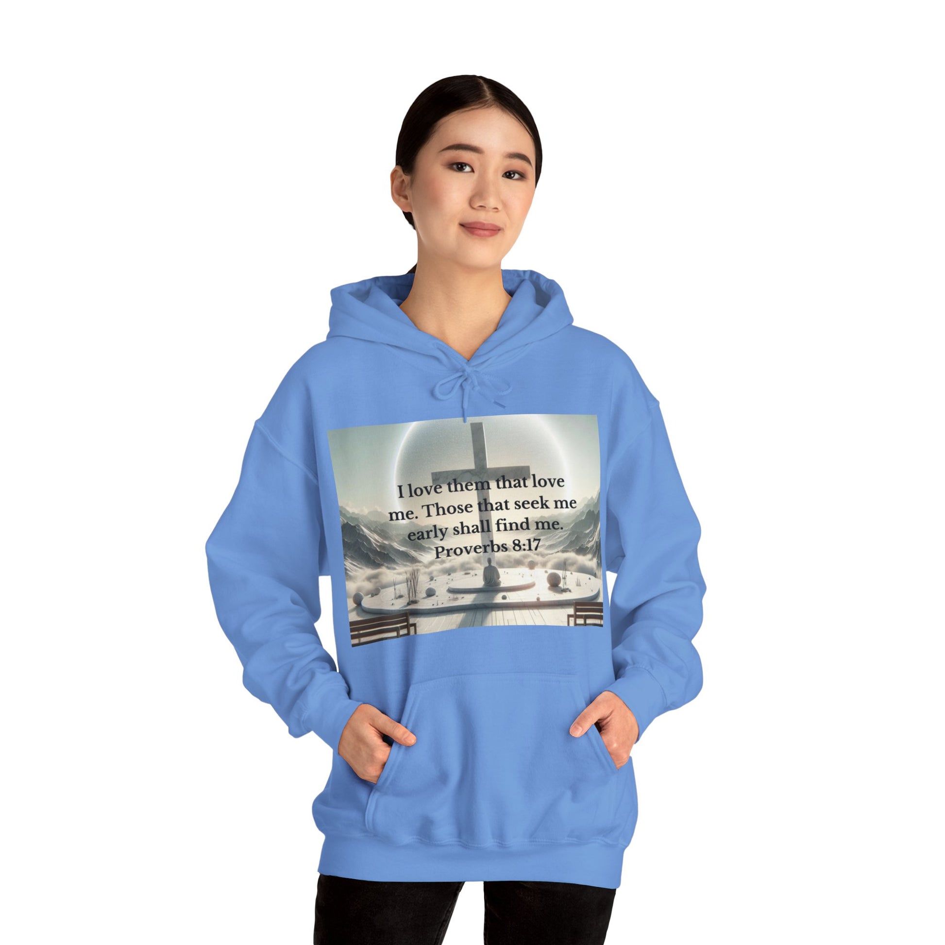 Proverbs 8:17 Hoodie Hoodie Printify