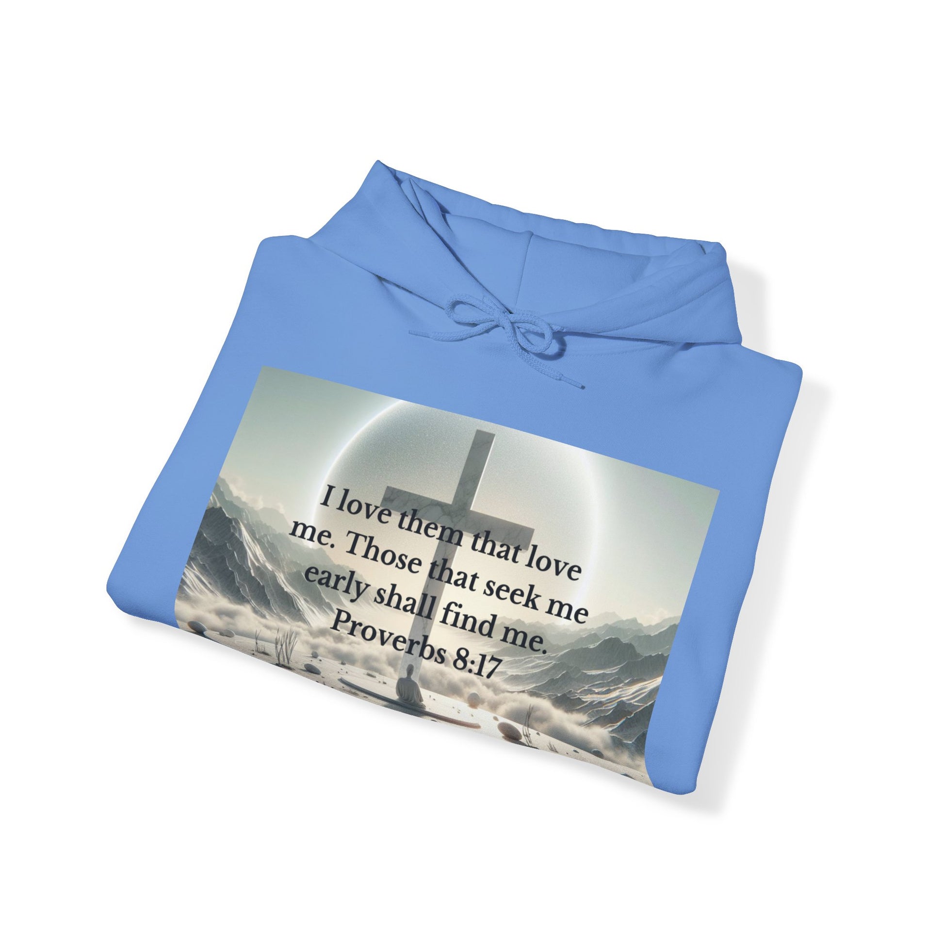 Proverbs 8:17 Hoodie Hoodie Printify