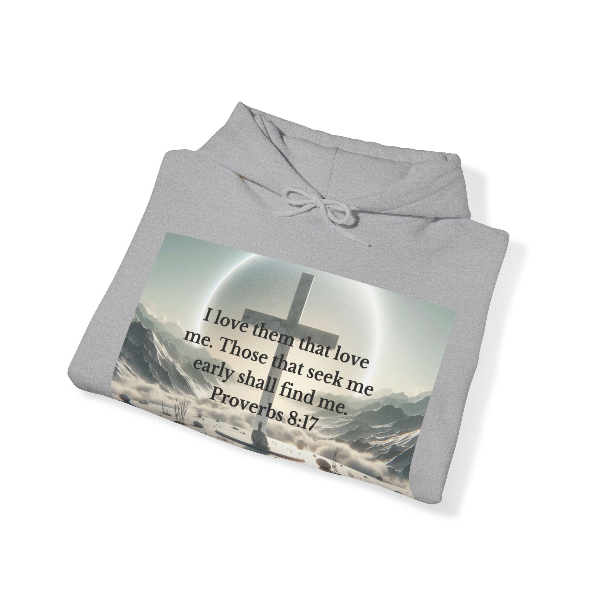Proverbs 8:17 Hoodie Hoodie Printify