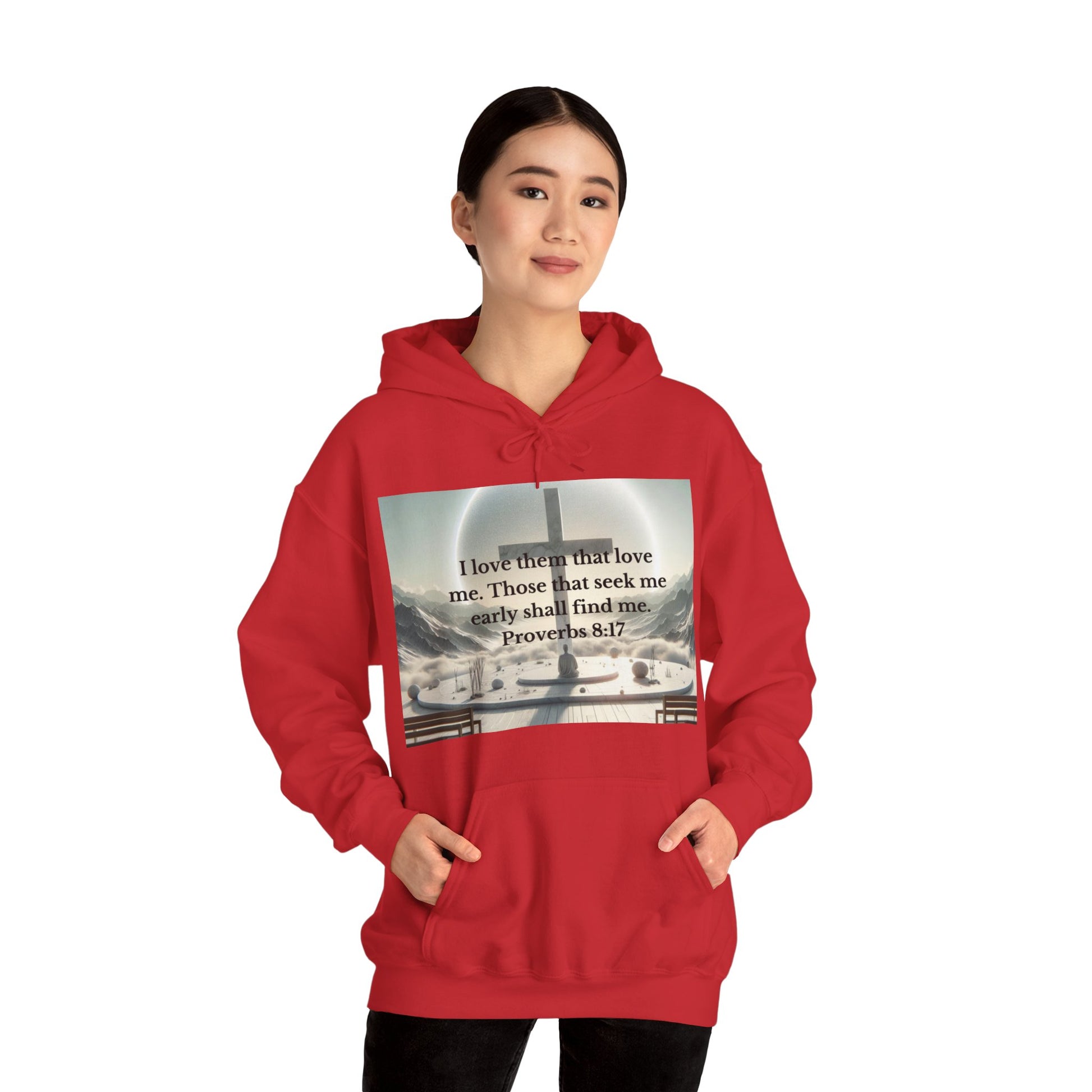 Proverbs 8:17 Hoodie Hoodie Printify