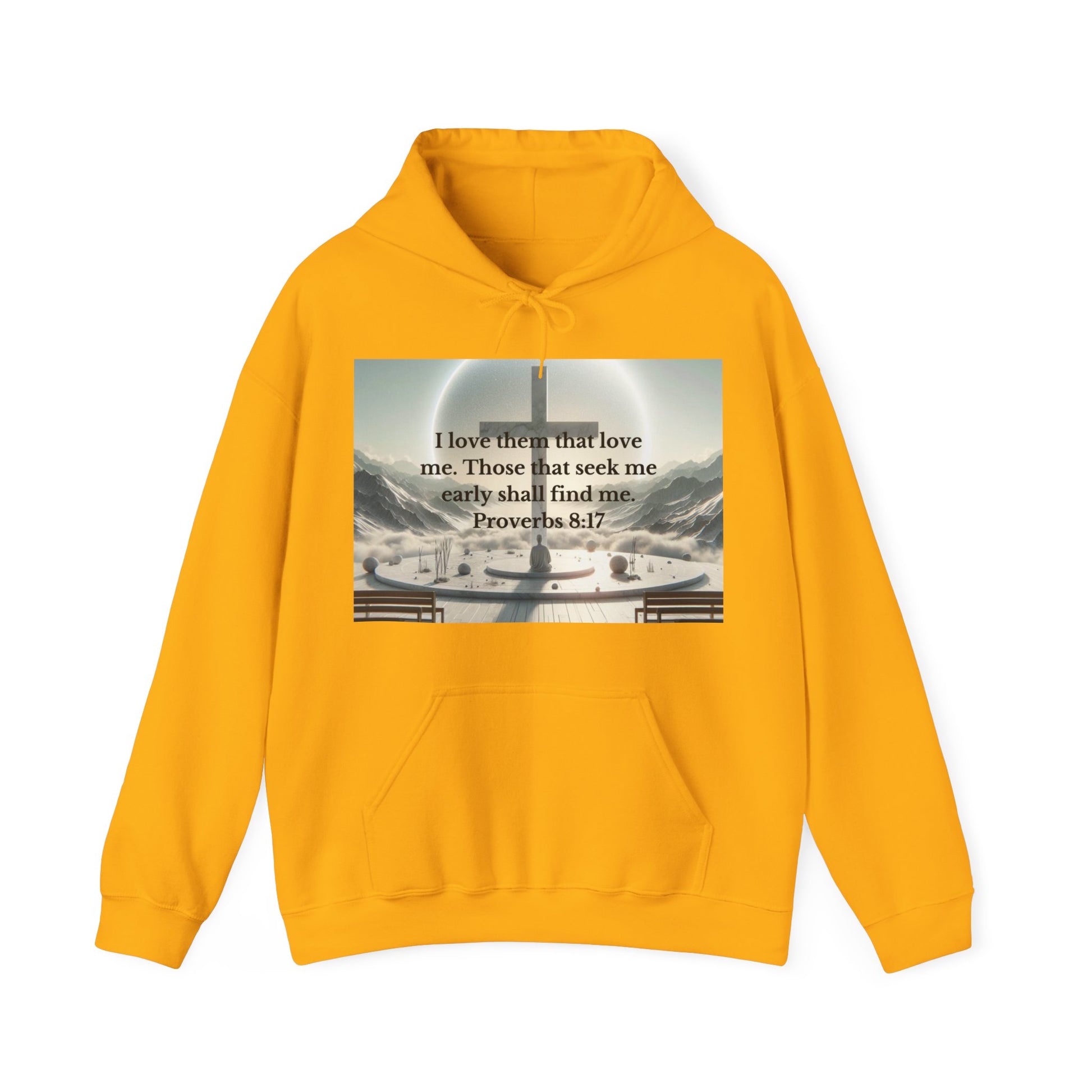 Proverbs 8:17 Hoodie Hoodie Printify Gold S