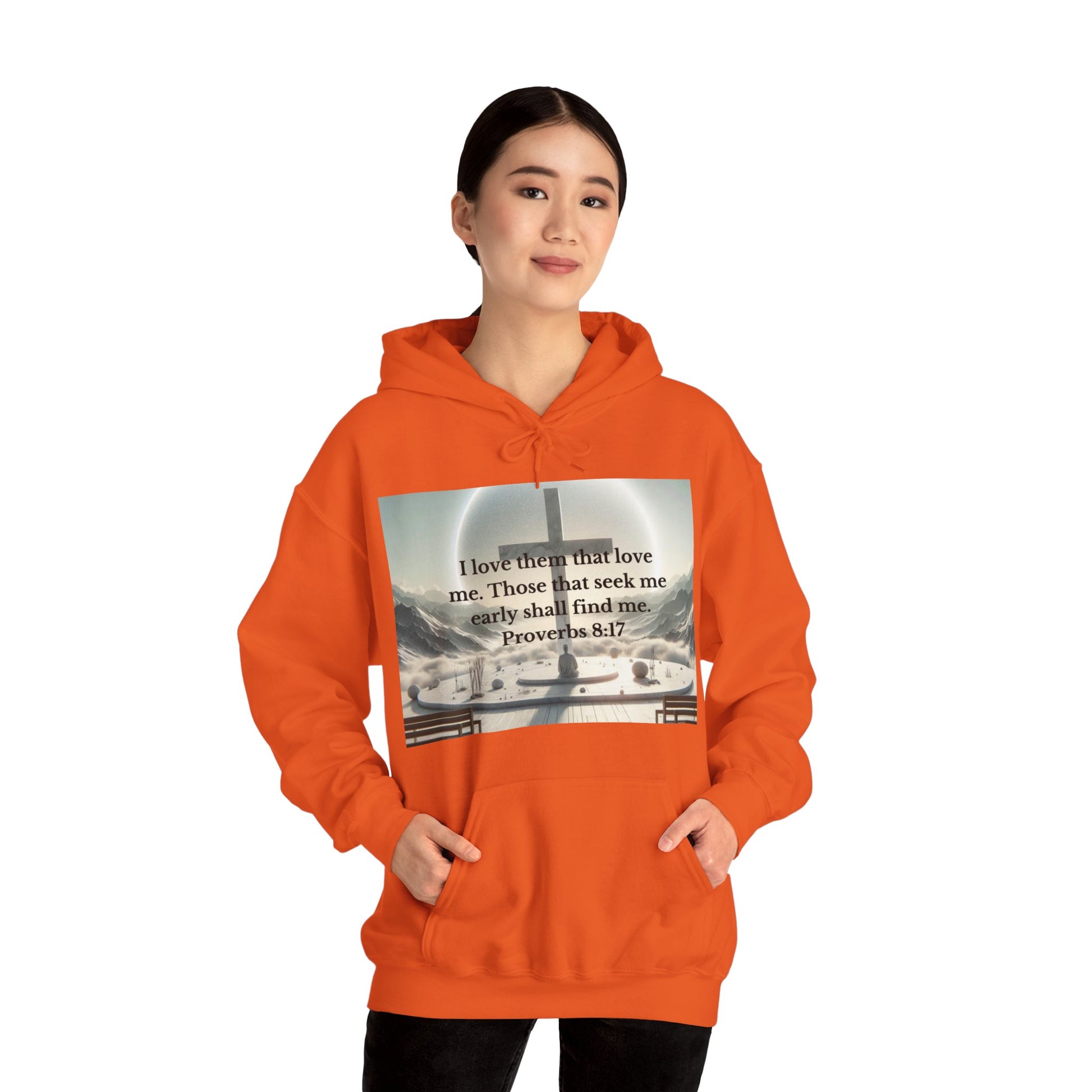 Proverbs 8:17 Hoodie Hoodie Printify