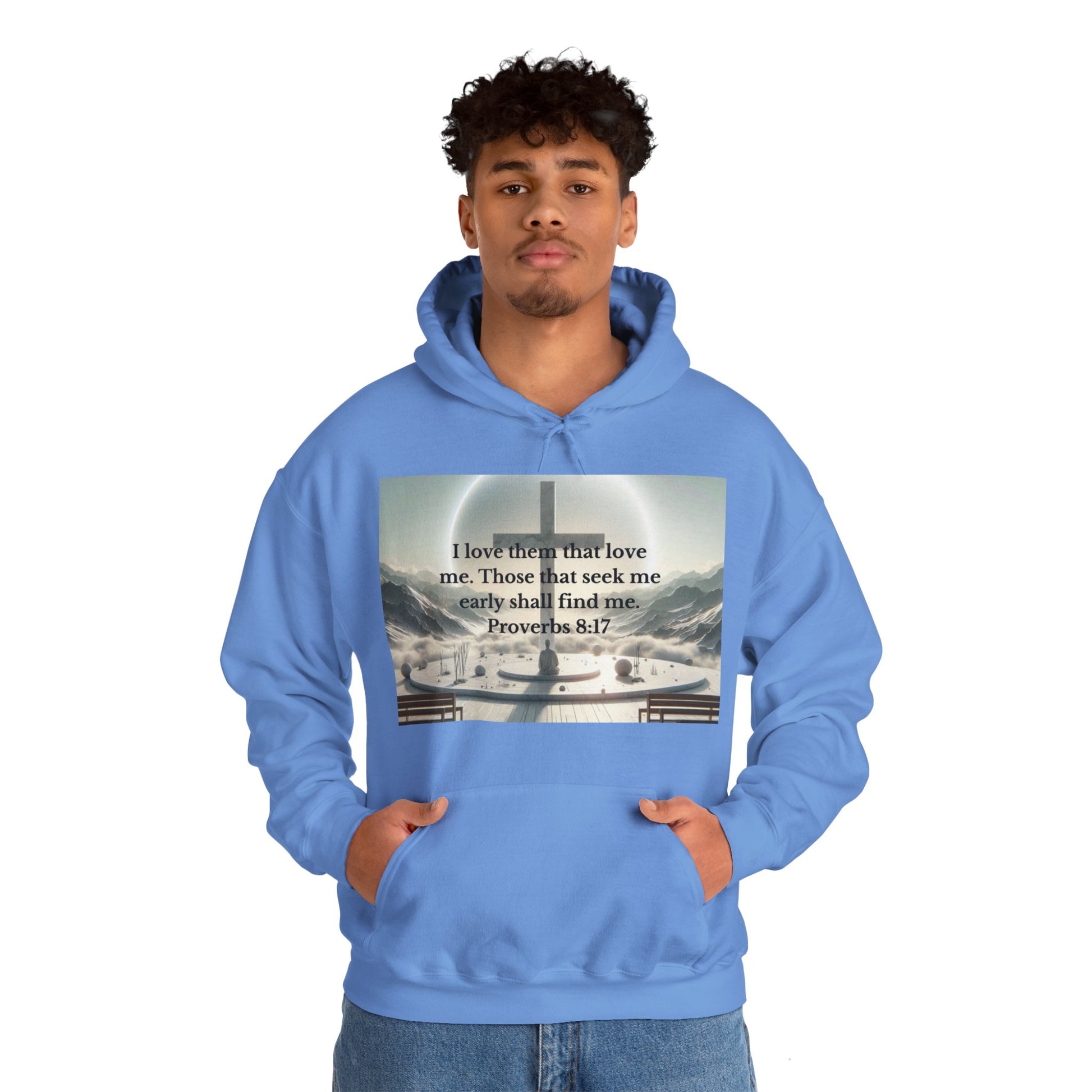 Proverbs 8:17 Hoodie Hoodie Printify