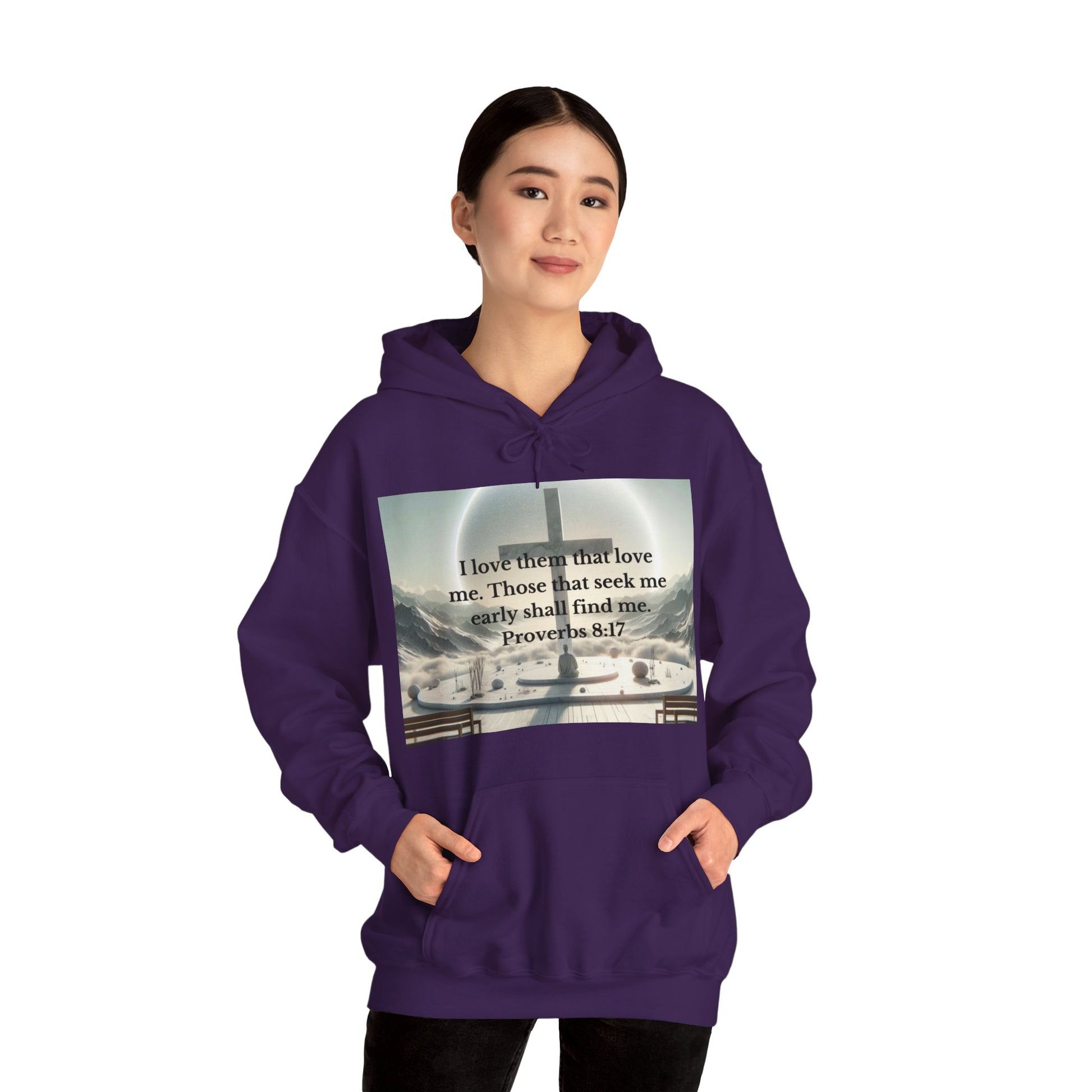 Proverbs 8:17 Hoodie Hoodie Printify