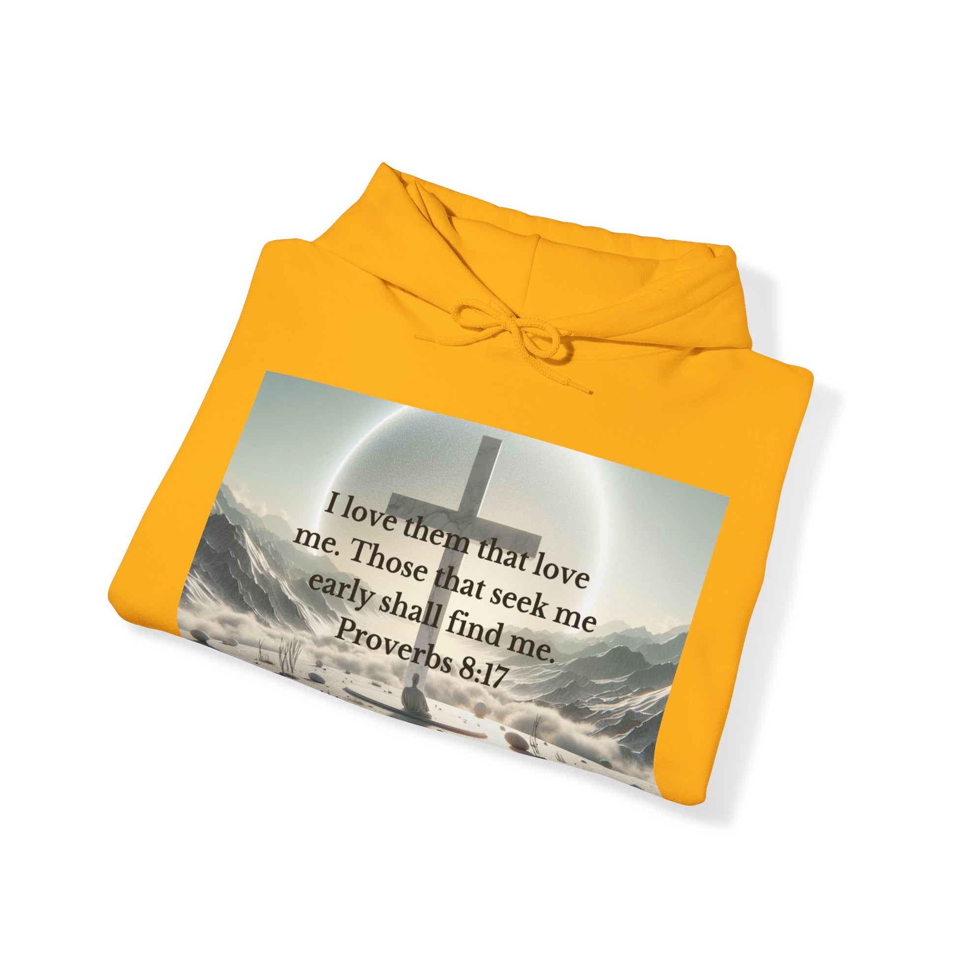 Proverbs 8:17 Hoodie Hoodie Printify