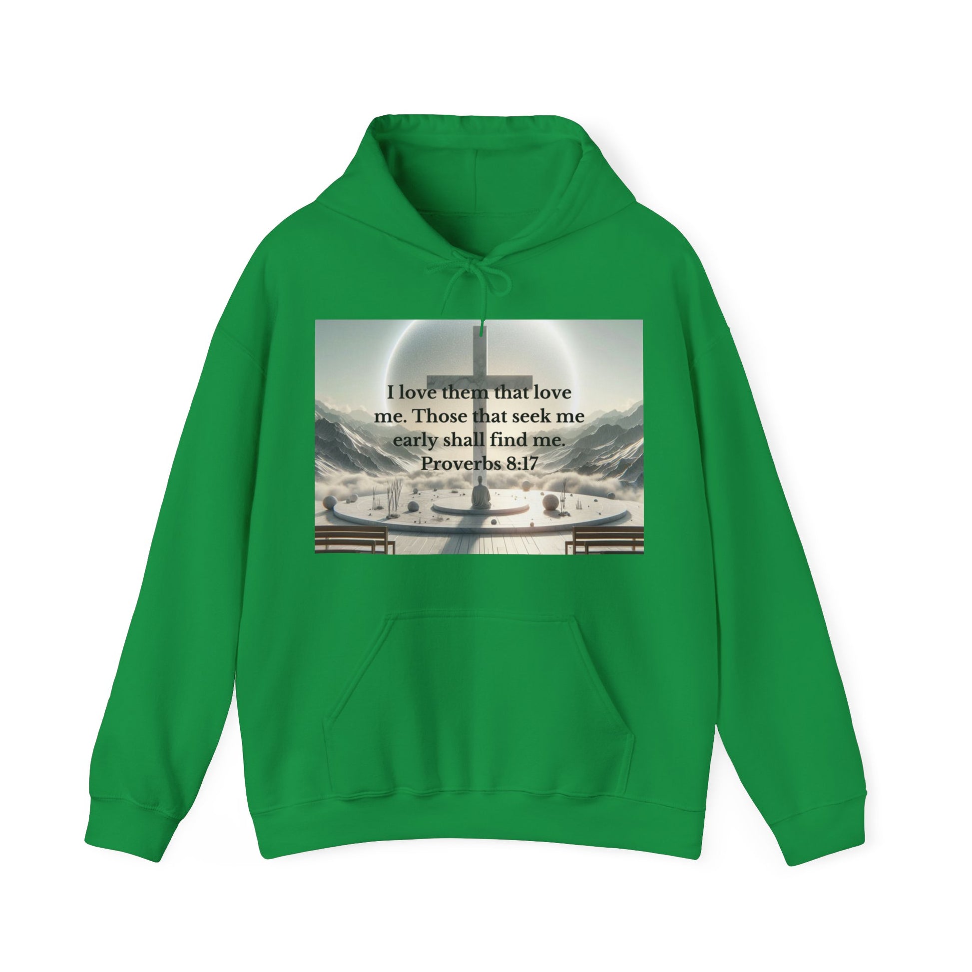 Proverbs 8:17 Hoodie Hoodie Printify Irish Green S