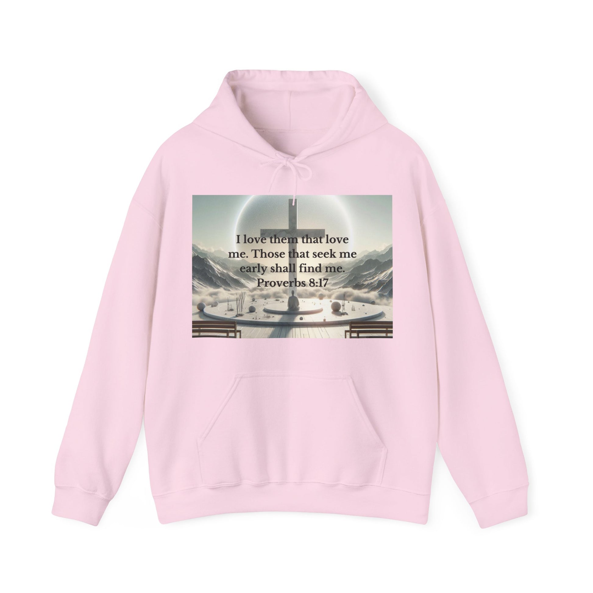 Proverbs 8:17 Hoodie Hoodie Printify Light Pink S