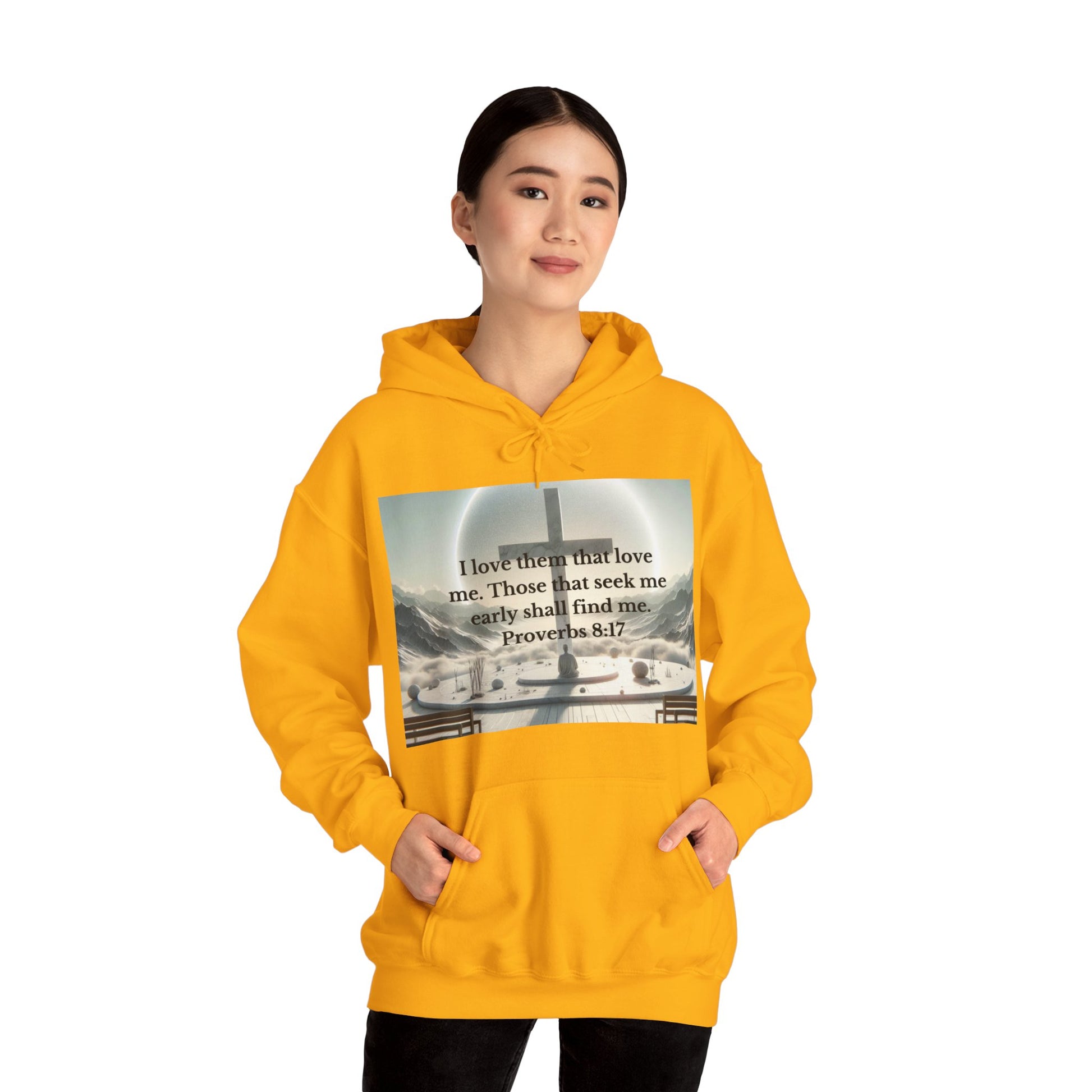 Proverbs 8:17 Hoodie Hoodie Printify
