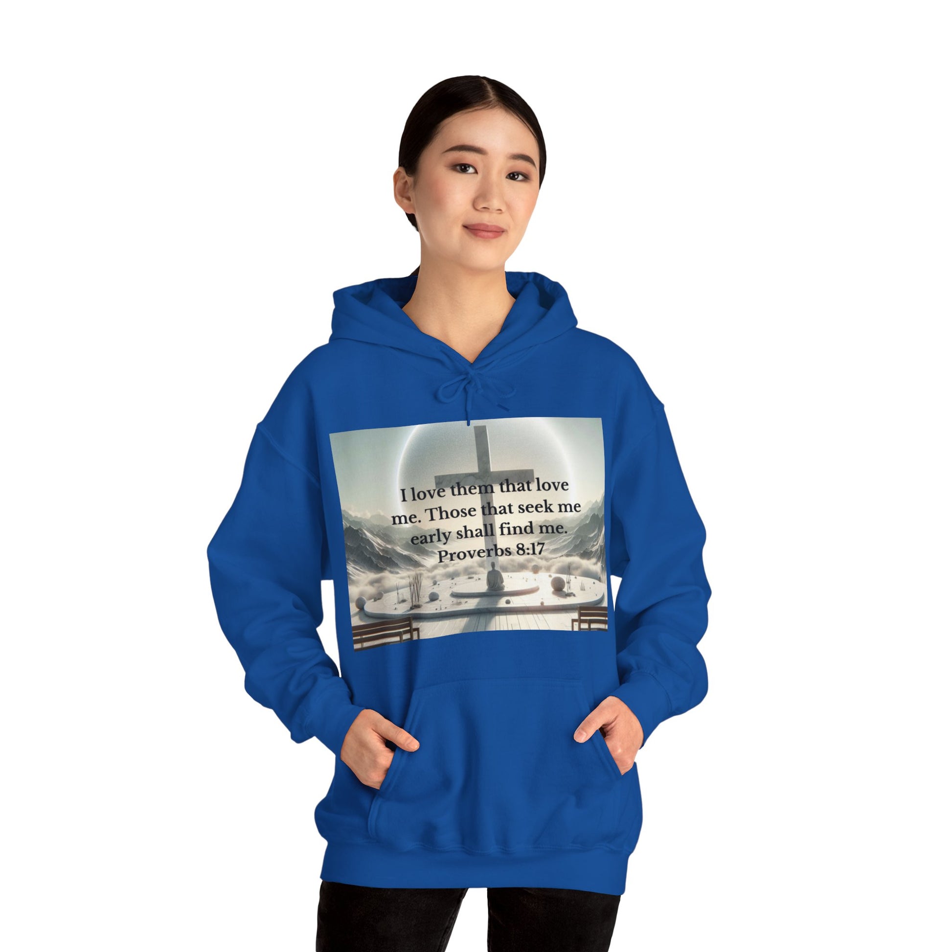 Proverbs 8:17 Hoodie Hoodie Printify