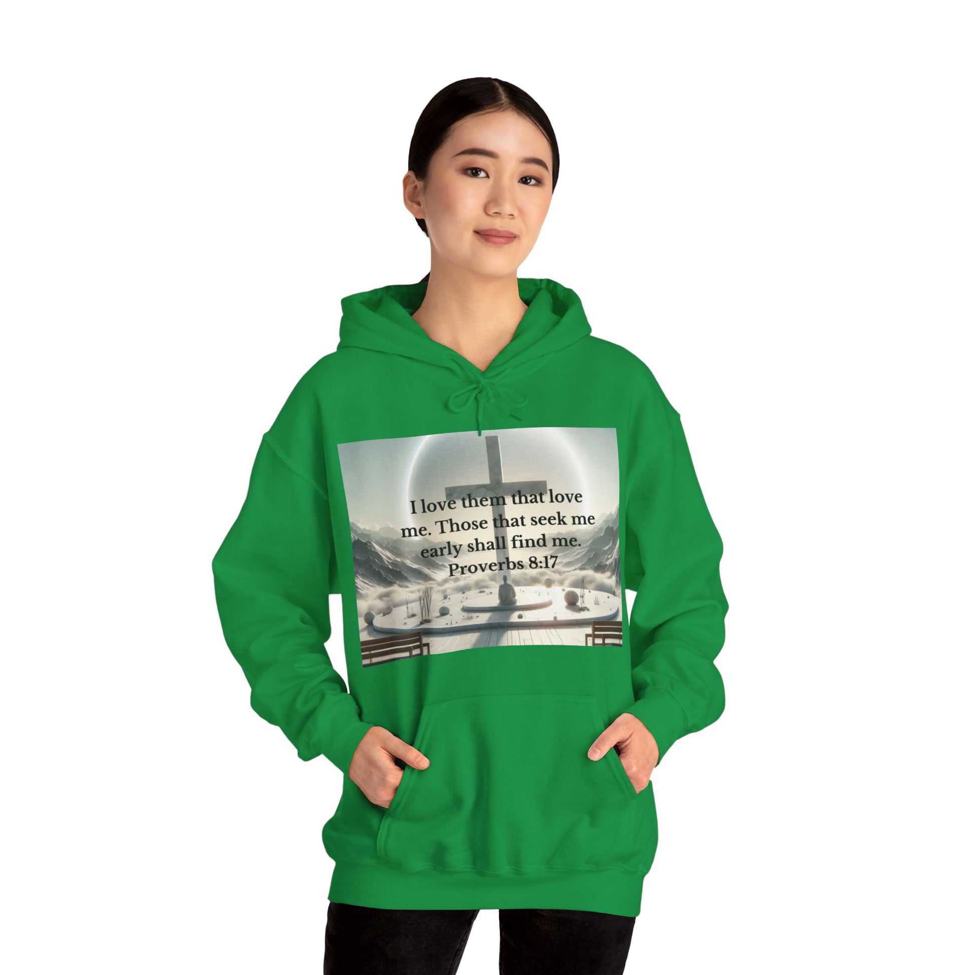 Proverbs 8:17 Hoodie Hoodie Printify