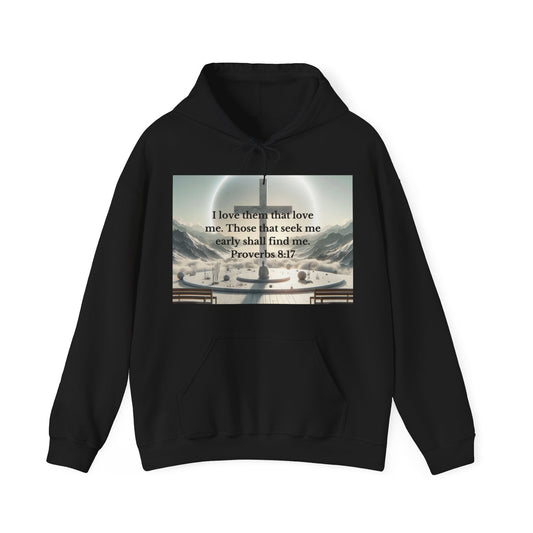 Proverbs 8:17 Hoodie Hoodie Printify Black S 